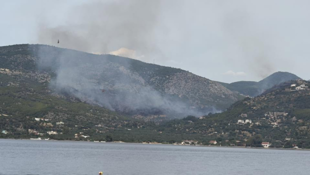 Λουτράκι: Συνελήφθη 70χρονος Γάλλος για τη φωτιά στην Περαχώρα - Χωρίς ενεργές εστίες το πύρινο μέτωπο