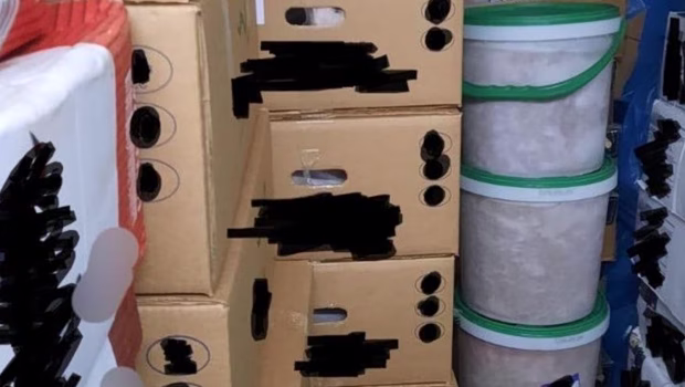 Κατασχέθηκαν 5,3 τόνοι ακατάλληλων κρεάτων μετά από καταγγελία – Πού θα κατέληγαν