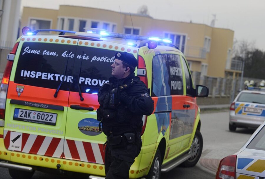 Σοκ στην Τσεχία: 35χρονη κατηγορείται ότι σκότωσε το νεογέννητο βρέφος της και έδωσε τα λείψανά του σε σκυλιά