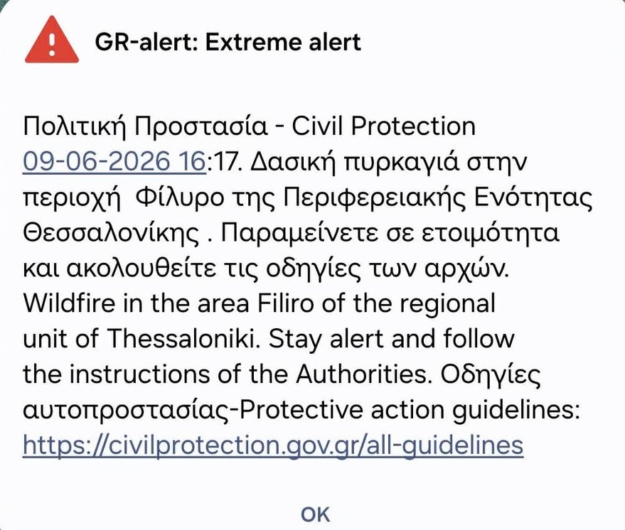 Θεσσαλονίκη: Φωτιά σε δασική έκταση στο Φίλυρο - Ήχησε το 112