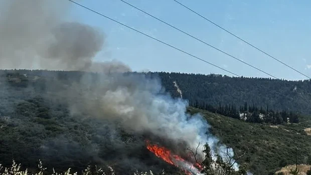 Θεσσαλονίκη: Τρεις συλλήψεις για τη φωτιά σε δασική έκταση στο Φίλυρο