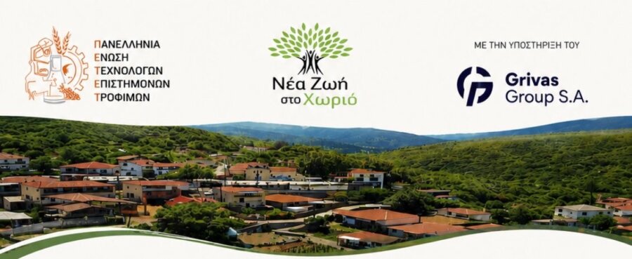 nea-zoi
