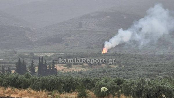 Φωτιά από κεραυνό στη Φθιώτιδα - Έπεσαν δένδρα από τους ισχυρούς ανέμους