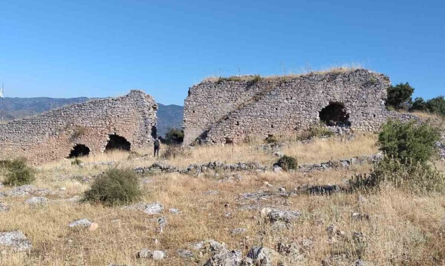 kastro-grizano