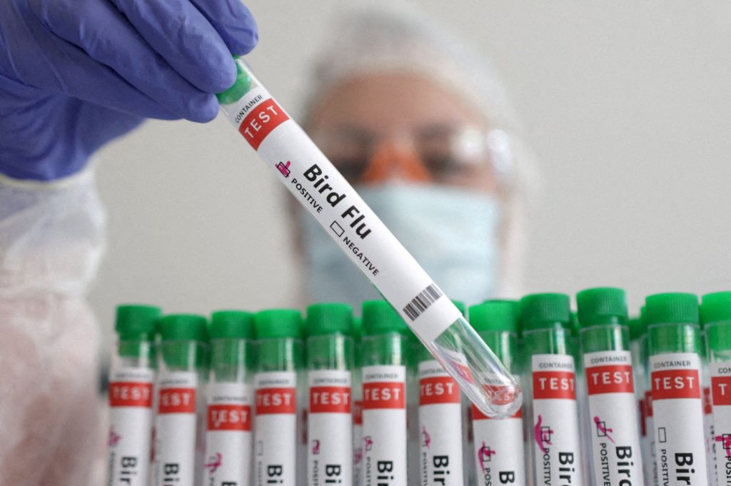 Αυστραλία: Πρώτο κρούσμα H5N1 στην ηπειρωτική χώρα – Σε επιφυλακή η κυβέρνηση