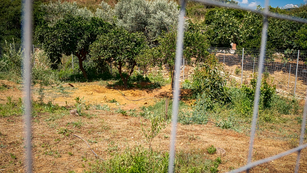 «Μιλούσα μαζί του, δεν είχα καταλάβει τίποτα» - Τι λέει η σύζυγος του δολοφόνου της Σταυρούλας Λεβεντάκη