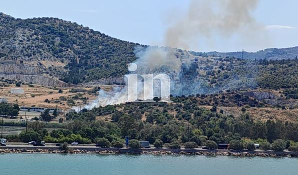 Κατασβέστηκε η φωτιά σε ξερά χόρτα στον Ασπρόπυργο