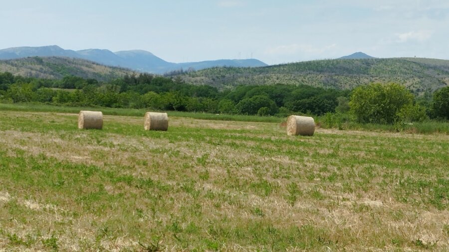 xorafi-zootrofi-3