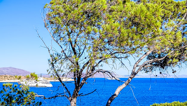 Καιρός: Μελτέμια και απογευματινή αστάθεια με βροχές και καταιγίδες