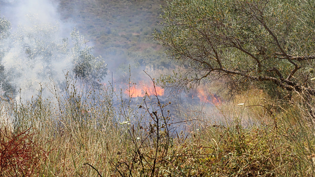 Δύο συλλήψεις για φωτιές από αμέλεια σε Λακωνία και Αχαΐα