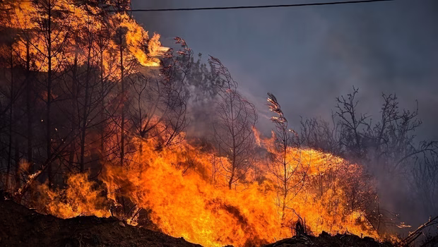 Δύο συλλήψεις για αγροτικές πυρκαγιές από αμέλεια σε Λακωνία και Αχαΐα