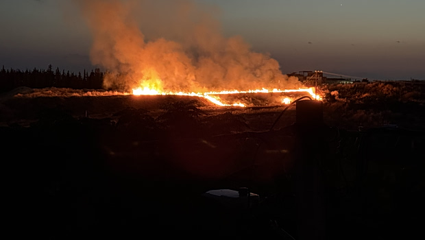 Φωτιά σε χαμηλή βλάστηση στο Πανόραμα Θεσσαλονίκης