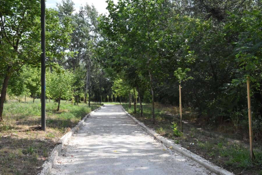 monopati-pineios