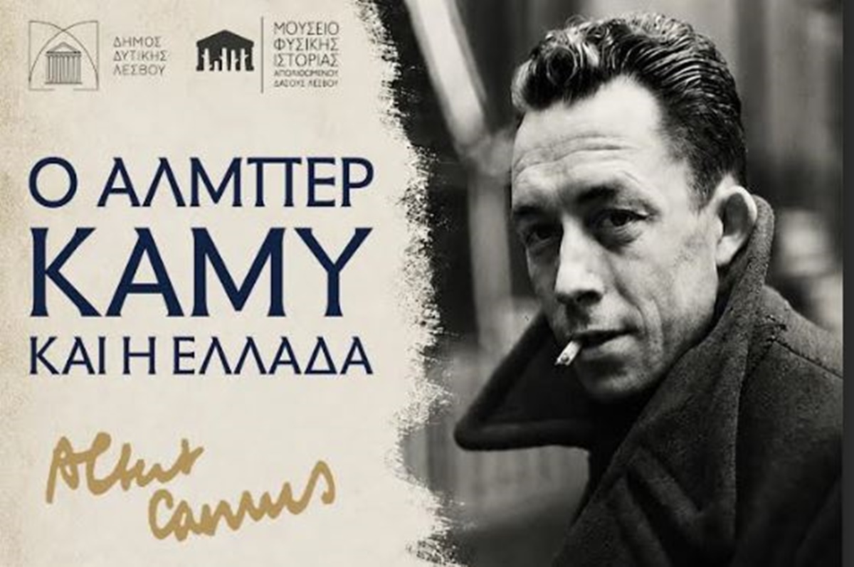 kamy