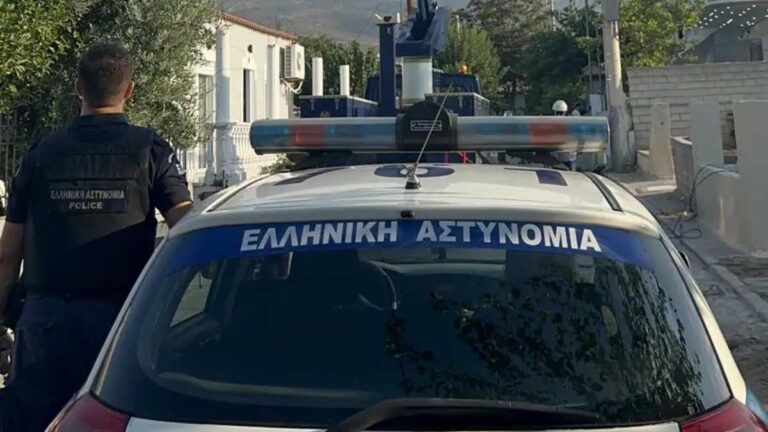 epixeirisi-astynomia-768x432
