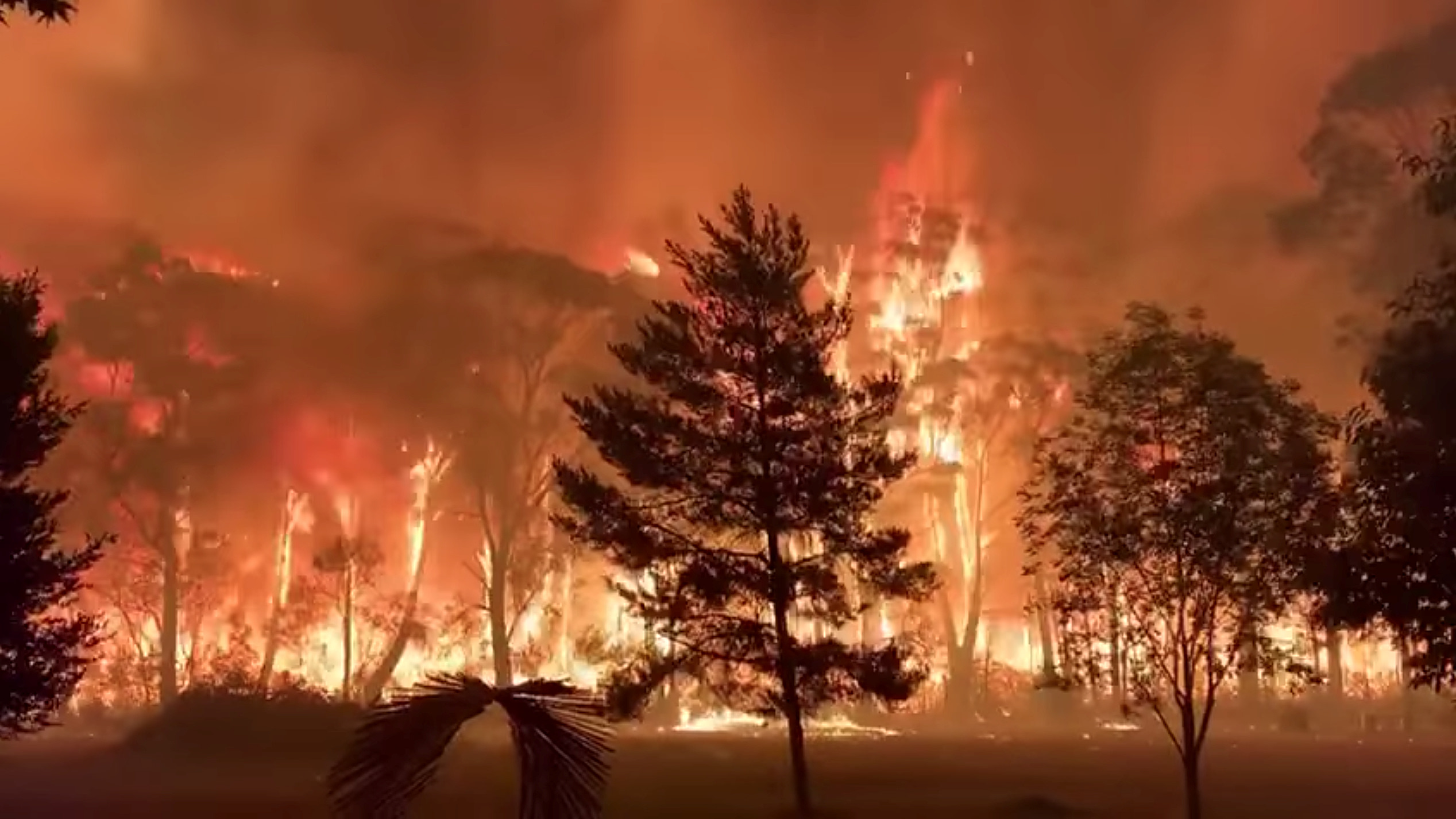 «Ραγδαία ενίσχυση» του El Niño και ακραία καιρικά φαινόμενα: Πότε θα χτυπήσει την Ευρώπη;