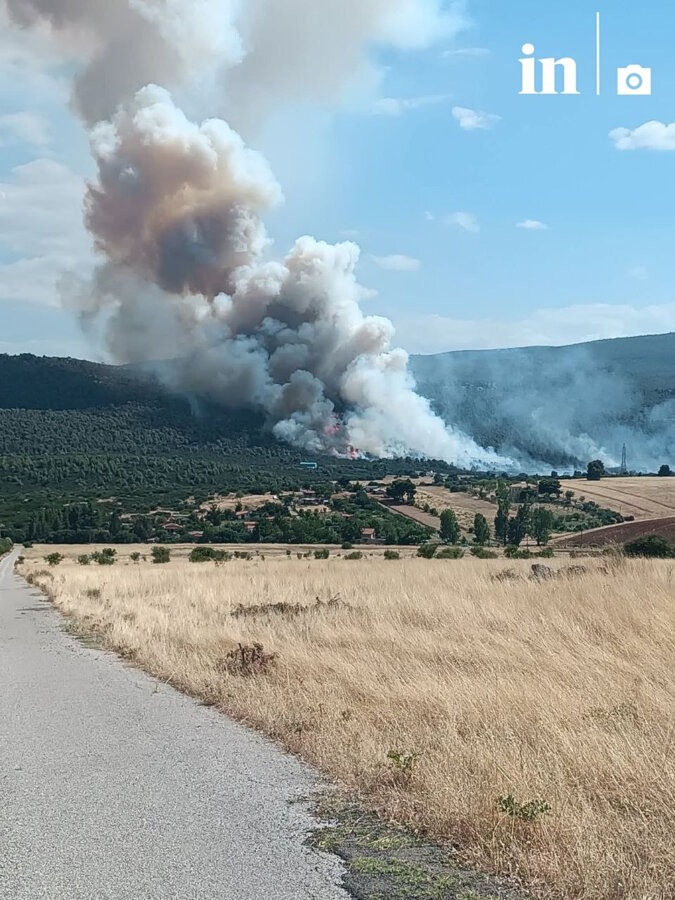 Φωτιά στην Οινόη: Συναγερμός στην Πυροσβεστική - Σηκώθηκαν 12 εναέρια, μήνυμα από το 112