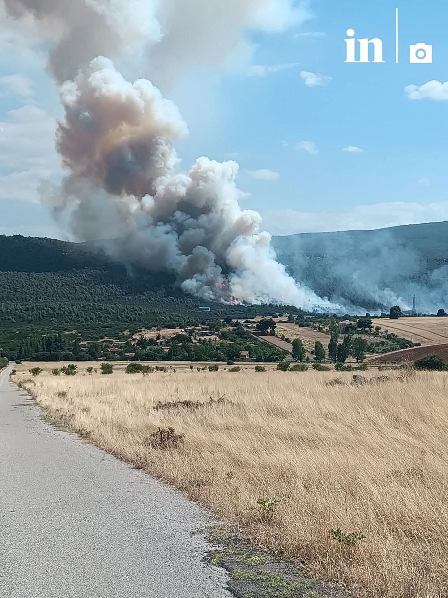 Φωτιά στην Οινόη: Συναγερμός στην Πυροσβεστική - Σηκώθηκαν 12 εναέρια, μήνυμα από το 112