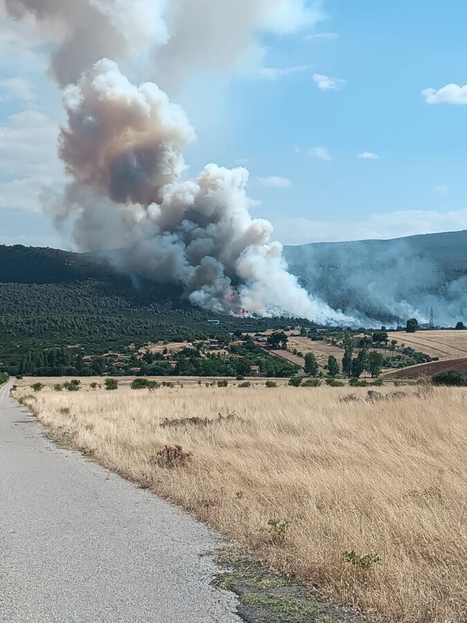 Χωρίς ενεργό μέτωπο η φωτιά στην Οινόη - Σε επιφυλακή για αναζωπυρώσεις οι πυροσβεστικές δυνάμεις
