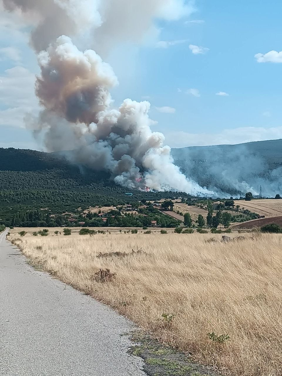 Χωρίς ενεργό μέτωπο η φωτιά στην Οινόη - Σε επιφυλακή για αναζωπυρώσεις οι πυροσβεστικές δυνάμεις