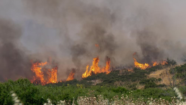 Θεσσαλονίκη: Φωτιά στο Τριάδι Θέρμης - Κοντά σε σπίτια οι φλόγες
