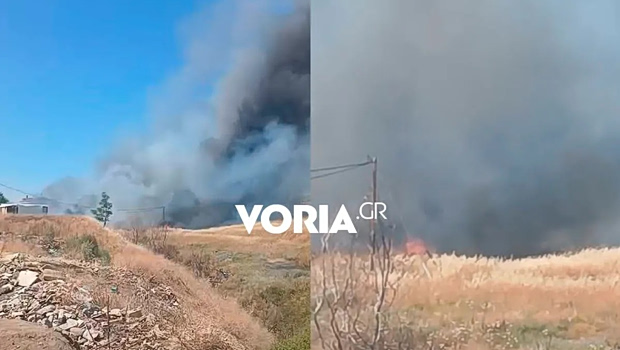 Φωτιά κοντά σε βιομηχανική περιοχή στα Διαβατά Θεσσαλονίκης – Ήχησε το 112