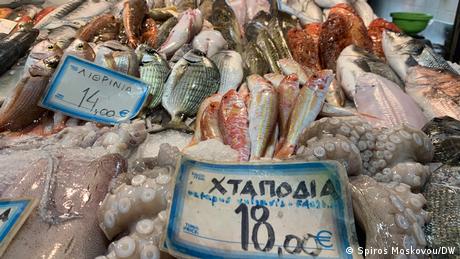Η ελληνική ιχθυοτροφία υπό βασιλική επιστασία