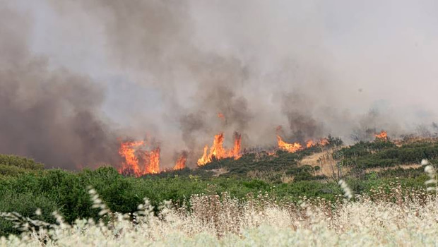 Θεσσαλονίκη: Φωτιά κοντά στο Καλαμωτό Λαγκαδά - Σηκώθηκαν εναέρια μέσα