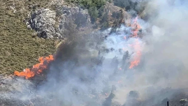 Κρήτη: Συνελήφθη άνδρας για τη μεγάλη φωτιά στο Μελιδοχώρι - Έκανε εργασίες με τροχό