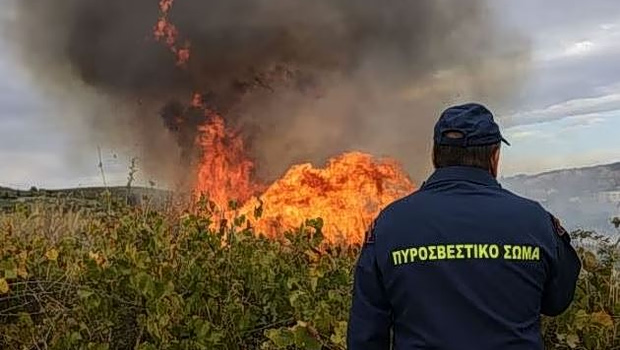Θεσσαλονίκη: Συνελήφθη 66χρονος για τη φωτιά στο φράγμα Θέρμης