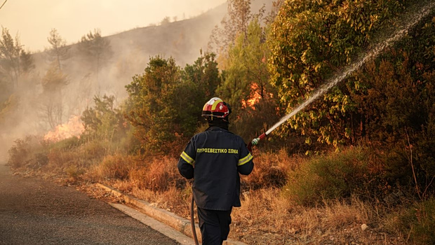 Κιλκίς: Δύο συλλήψεις για πρόκληση πυρκαγιών από αμέλεια
