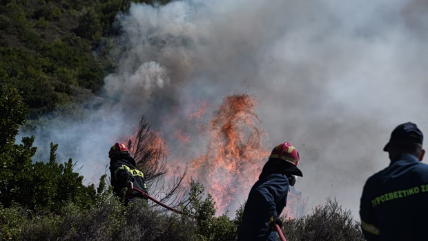Φωτιά στο Μακρυχώρι Λάρισας – Δέκα πυροσβέστες στο σημείο