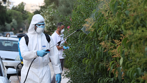 Τι πρέπει να ξέρουμε για τον ιό του Δυτικού Νείλου - Οι ηλικιακές ομάδες που πρέπει να προσέχουν
