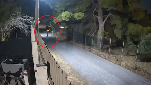 Η στιγμή που 50χρονος βάζει φωτιά στην Άνοιξη Αττικής - Συνελήφθη για εμπρησμό από πρόθεση - Βίντεο ντοκουμέντο