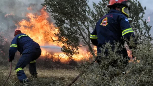 Φωτιά σε δασική έκταση στην Κόνιτσα