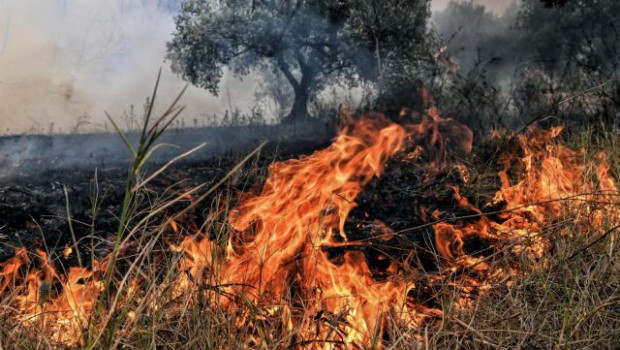 Φωτιά σε χαμηλή βλάστηση στον Εχέδωρο Θεσσαλονίκης – Σηκώθηκαν ελικόπτερα