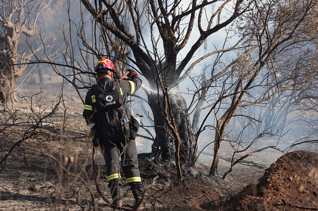 Ακραίος κίνδυνος πυρκαγιάς σήμερα σε Αττική και ακόμη τέσσερις περιοχές της χώρας – ΧΑΡΤΗΣ