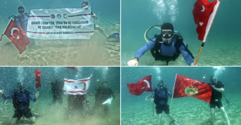 Γκρίζοι Λύκοι