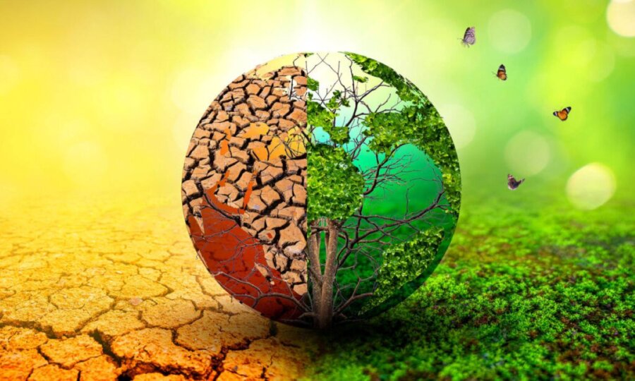 biodiversity-loss-climate-change-earth-1medium