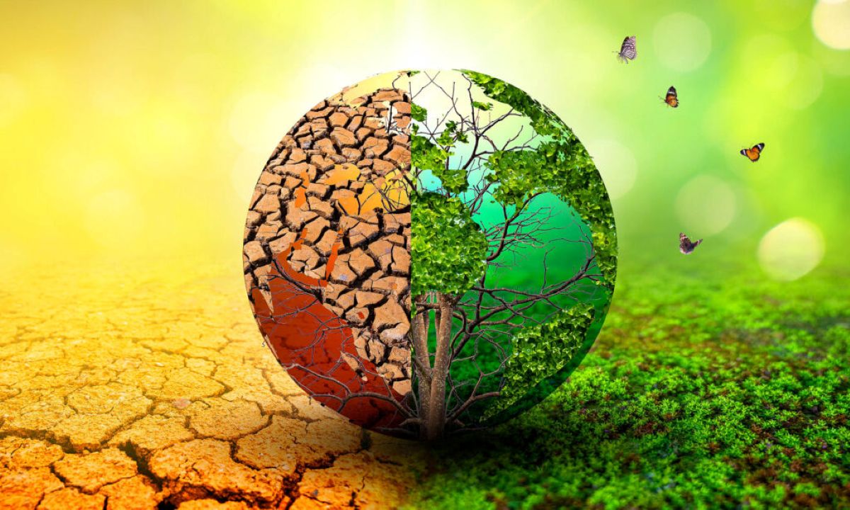 biodiversity-loss-climate-change-earth-1medium