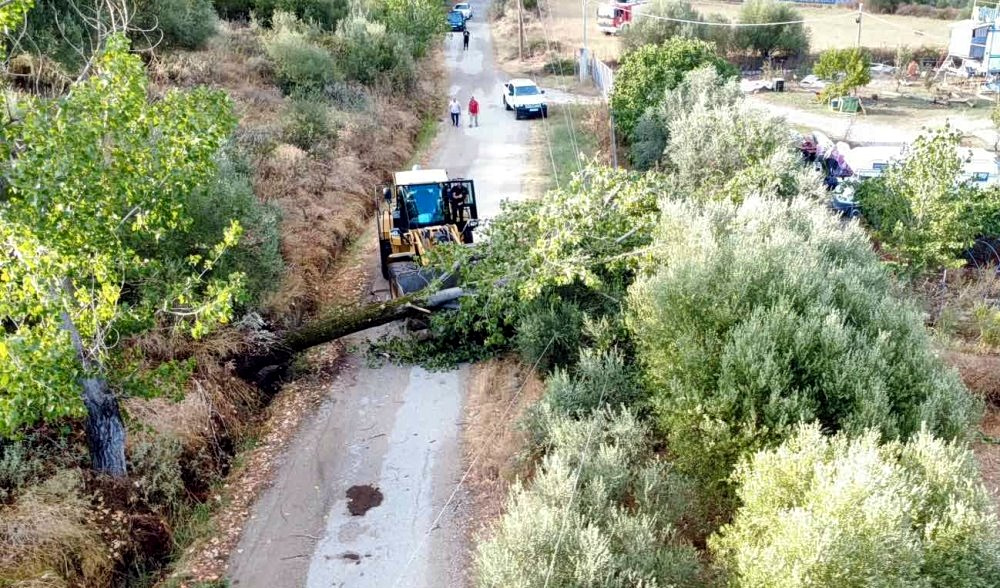 Εικόνα που δείχνει δρόμο στην Περιφερειακή Ενότητα Αγρινίου να έχει αποκλειστεί από πτώση μεγάλου δέντρου