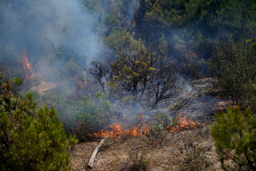 Ισπανία: Έκκληση Σάντσεθ για εθνική «συμφωνία» για την αντιμετώπιση των επιπτώσεων της κλιματικής αλλαγής