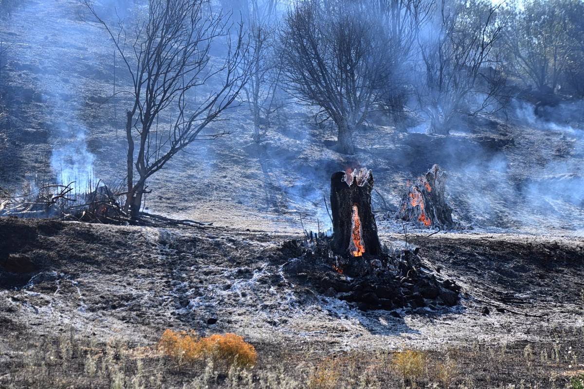 Νέα τραγωδία στην Πυροσβεστική: Νεκρός ο υποδιοικητής της Π.Υ. στο Γύθειο