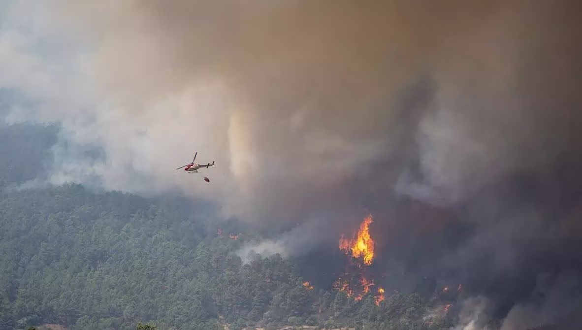 Ένα ολόκληρο χωριό ενώθηκε για να προστατέψει ένα δέντρο 500 - 800 ετών από τις φλόγες στην Ισπανία