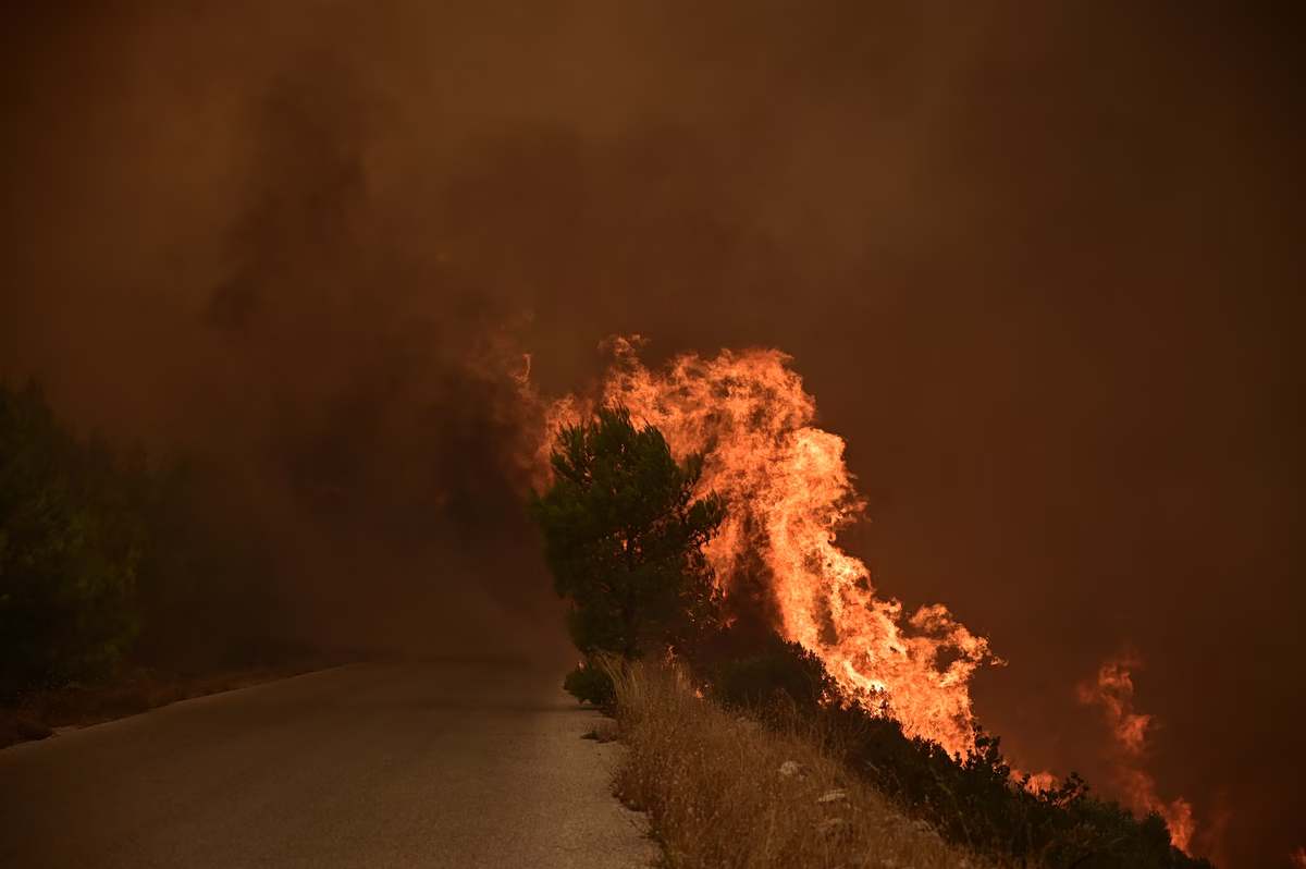 Βοιωτία: Η φωτιά σάρωσε έως και 50.000 στρέμματα – «Ασύλληπτη καταστροφή» λέει πυρομετεωρολόγος