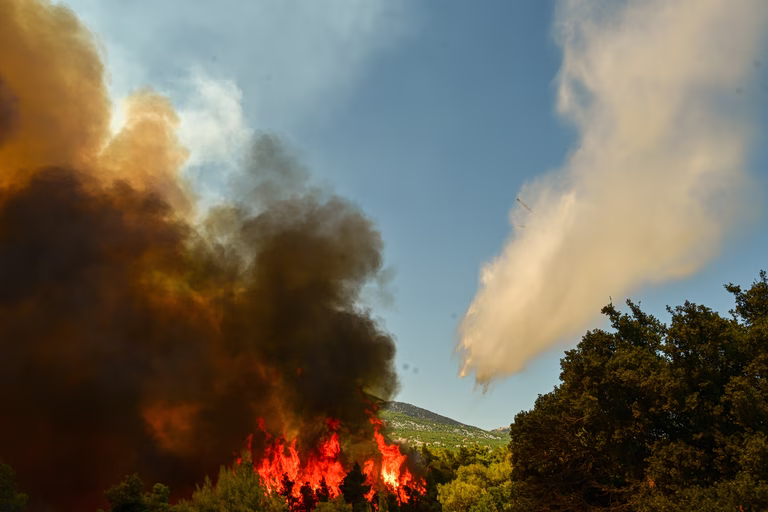 Νέα Αριστερά: Υπόλογη η κυβέρνηση Μητσοτάκη για τα εκατομμύρια καμένων εκτάσεων