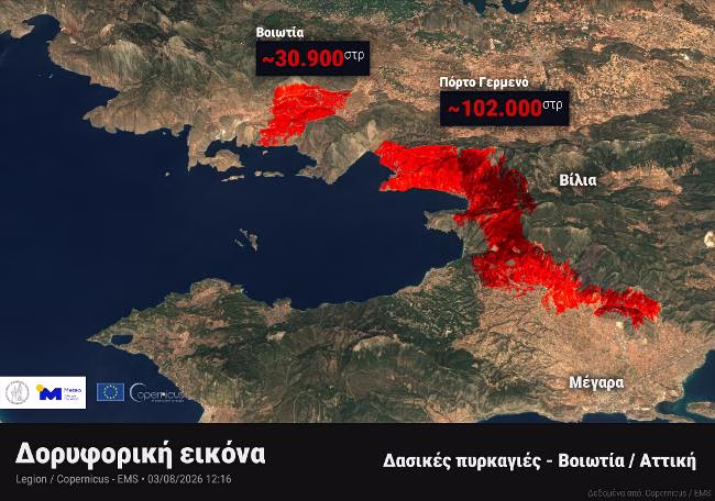Αττικοβοιωτία: Περισσότερα από 130.000 στρέμματα καταστράφηκαν από τις πυρκαγιές