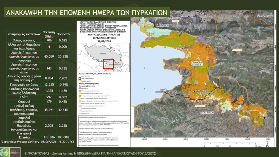 AntiNERO: Είναι τόσο σωτήριο όσο παρουσιάζεται;