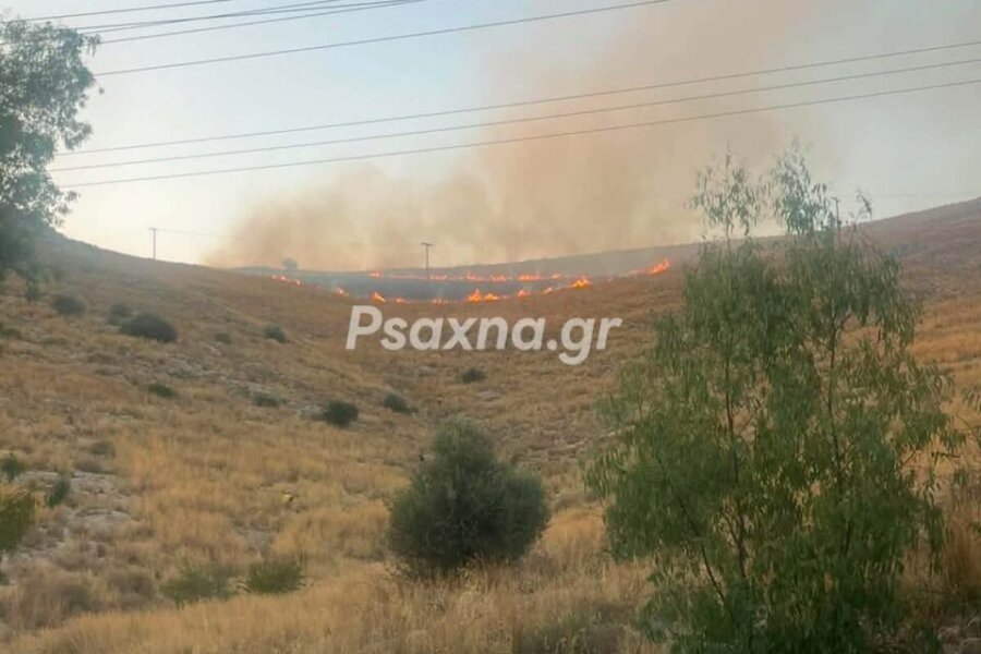 Φωτιά σε χαμηλή βλάστηση στη Χαλκίδα