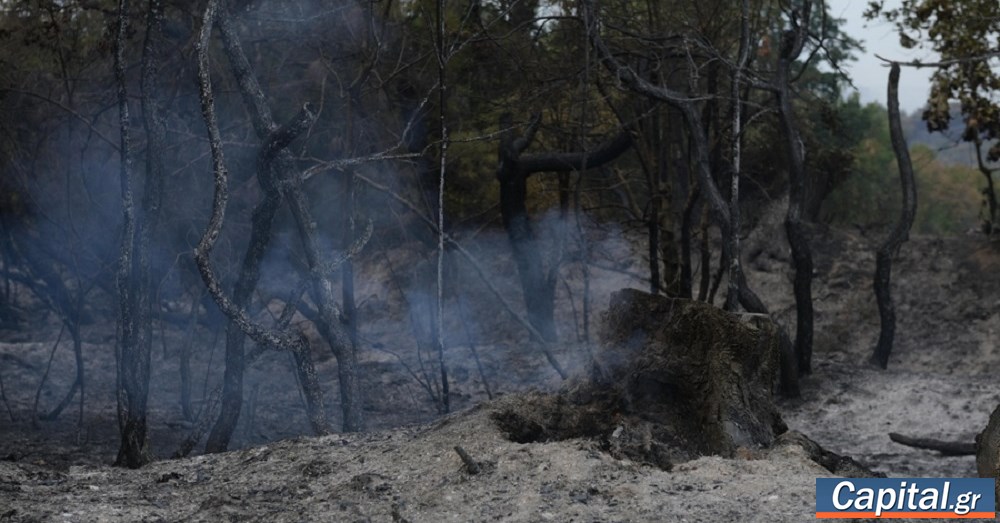 ΠΑΣΟΚ: Η μεγάλη κοροϊδία του Μαξίμου